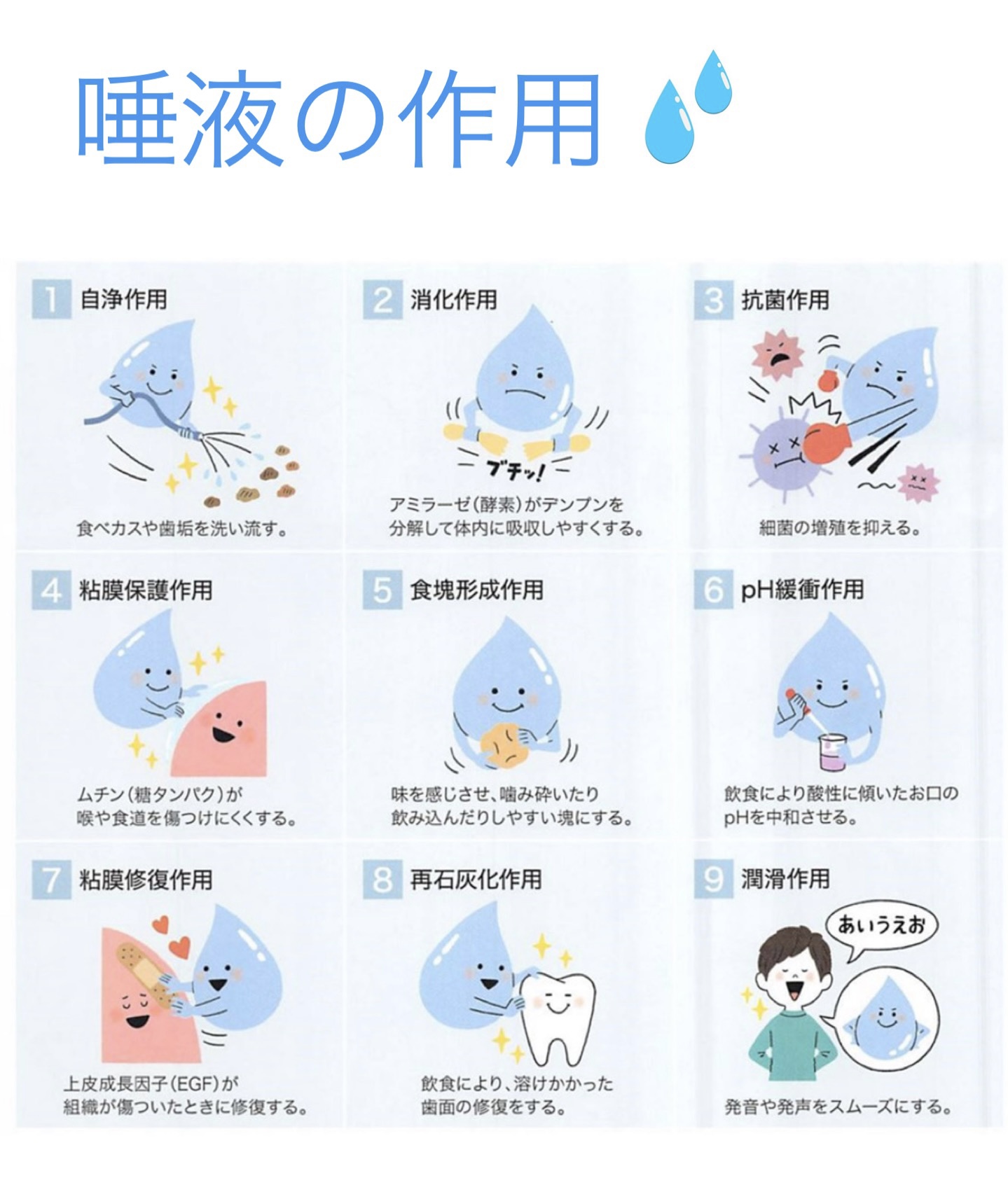 唾液  唾液の働き - ココロ南行徳歯科クリニック